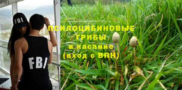 2c-b Богородск