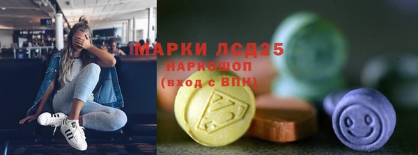 гашик Богородицк
