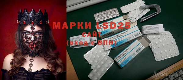 гашик Богородицк